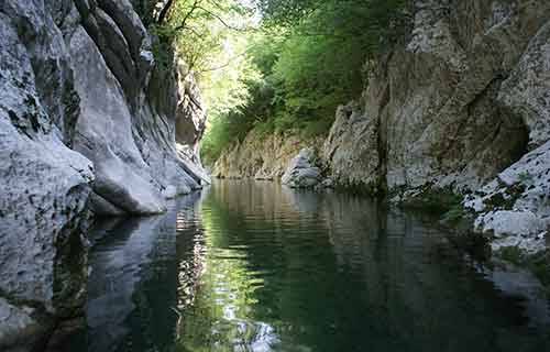 205 tiur cilento calore 1